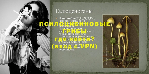 jwh Гатчина