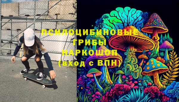 трава Надым