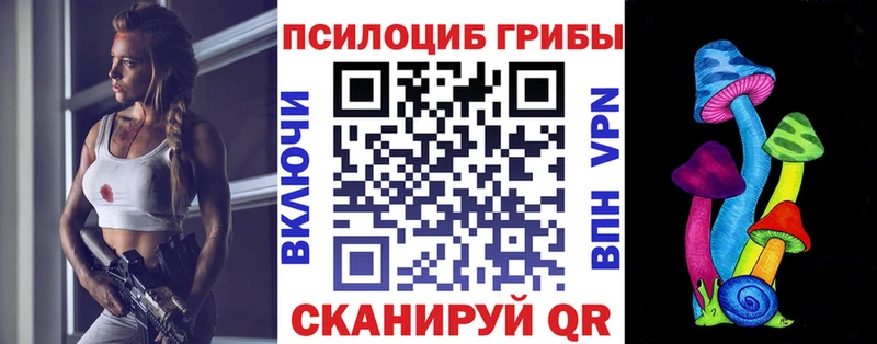 наркошоп  Приволжский  Галлюциногенные грибы GOLDEN TEACHER 